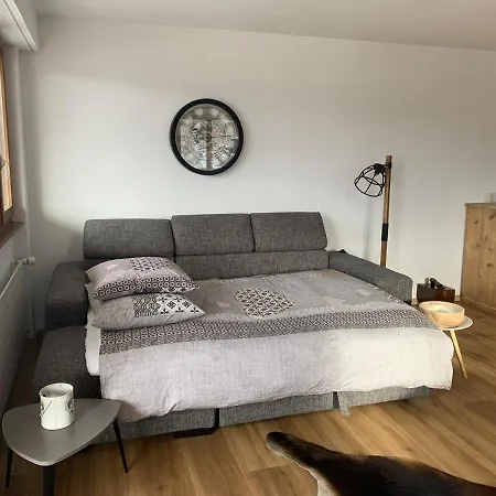 La Jacinthe De Appartement *
